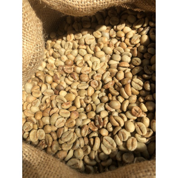 CÀ PHÊ NHÂN SỐNG - ROBUSTA CHẾ BIẾN KHÔ